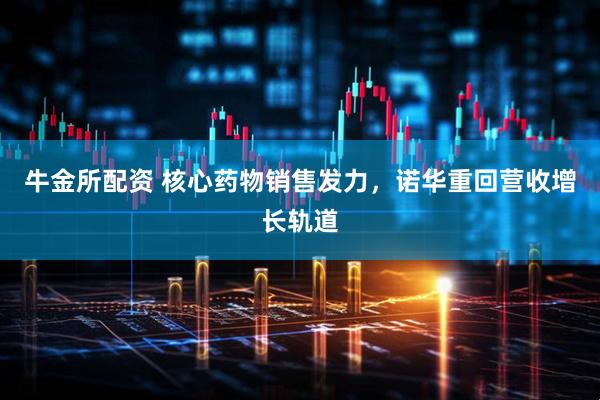 牛金所配资 核心药物销售发力，诺华重回营收增长轨道