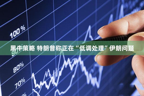 黑牛策略 特朗普称正在“低调处理”伊朗问题